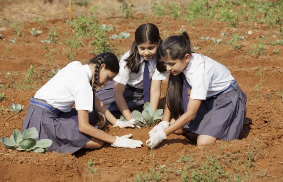 Plantation Drive with Tagore International School