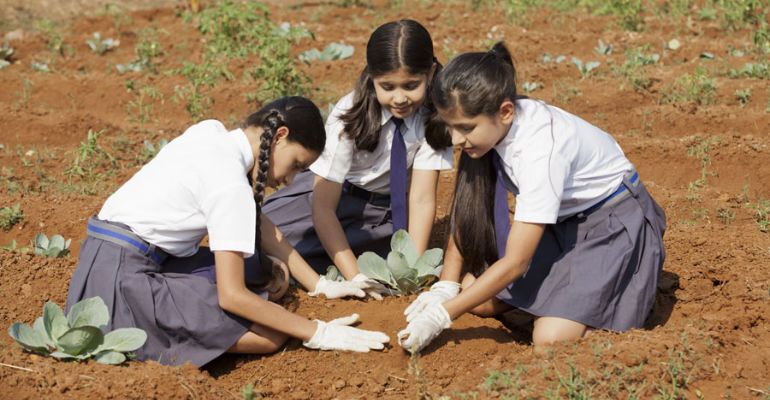 Egghead planting trees, EggheadFoundation